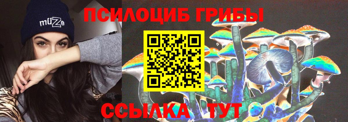 Псилоцибиновые грибы Psilocybine cubensis  Вход с VPN  хочу   Электросталь  Галлюциногенные грибы прущие грибы 
